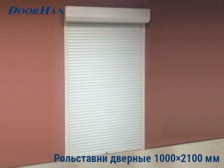 Рольставни на двери 1000×2100 мм в Новосибирске от 31250 руб.