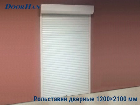 Рольставни на двери 1200×2100 мм в Новосибирске от 34422 руб.