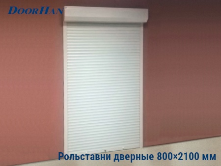 Рольставни на двери 800×2100 мм в Новосибирске от 28077 руб.